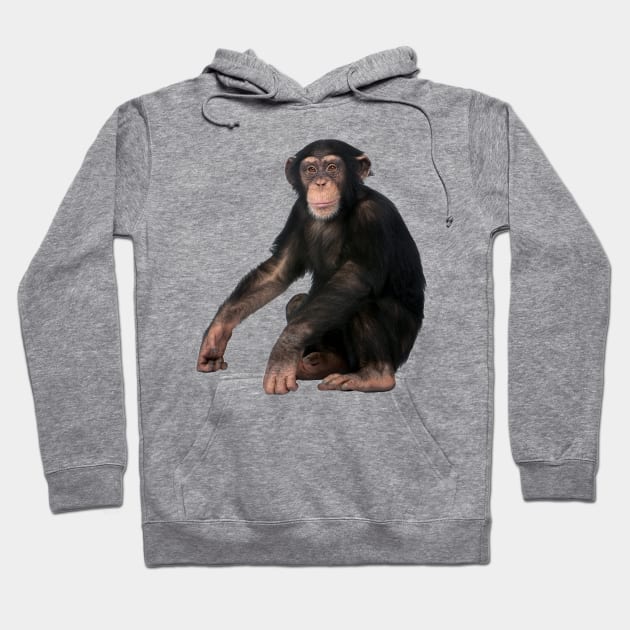 Chimpanzee Hoodie by Endangered Animals